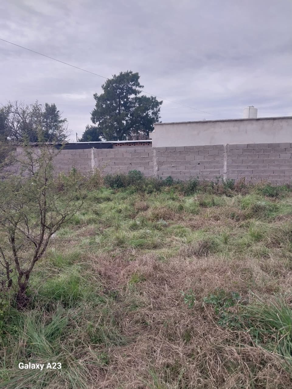Imagen 4